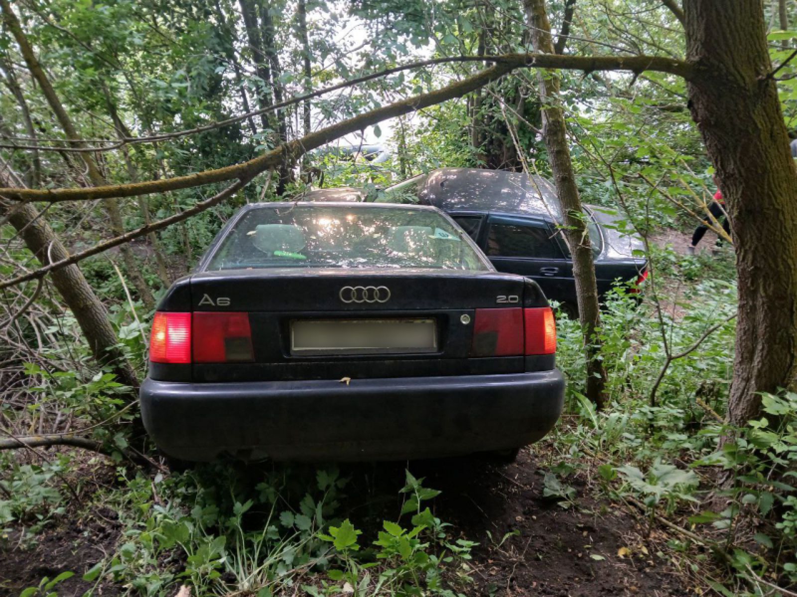 В Белгородской области пьяный парень угнал иномарку и попал на ней в ДТП