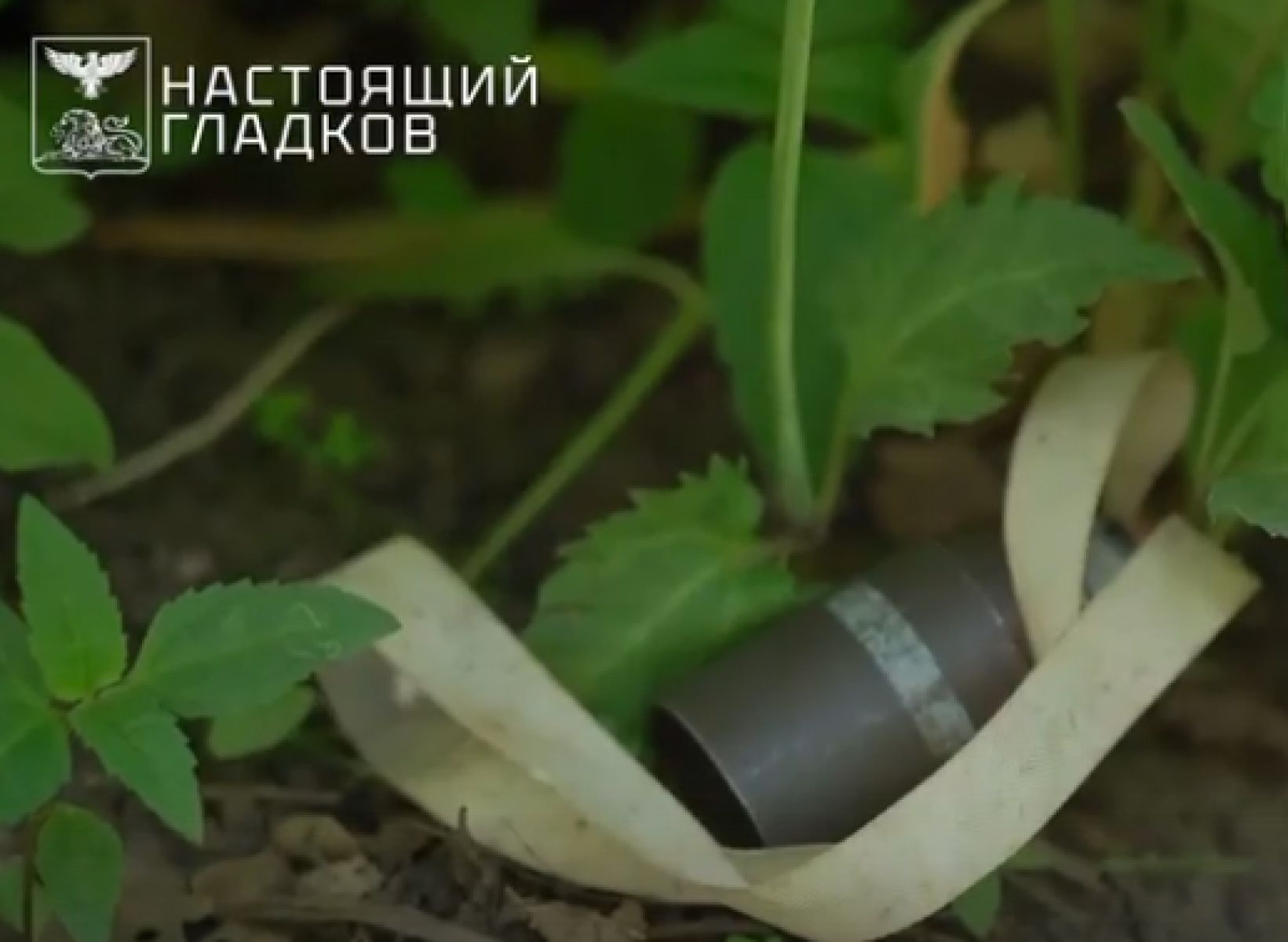 В Белгородской области в руках у парня разорвался предмет, похожий на зажигалку