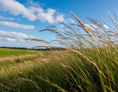 Опасные погодные явления обрушатся на Воронежскую область