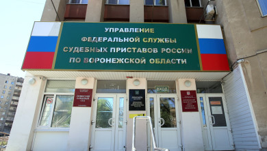 Как появление реестра неплательщиков алиментов изменит жизнь воронежцев