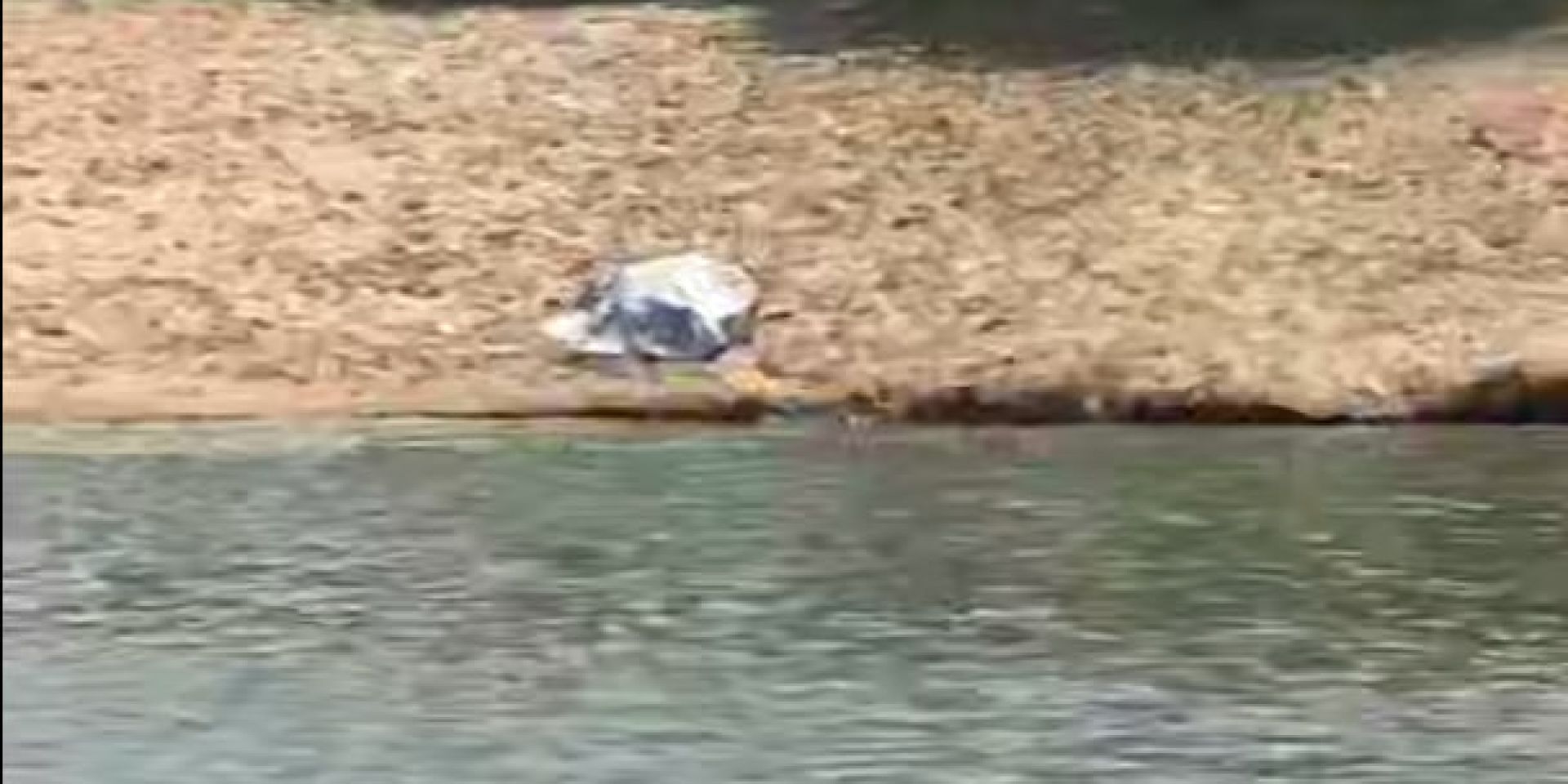 Гибель мужчины в&nbsp;водоёме турбазы под&nbsp;Воронежем прокомментировали следователи