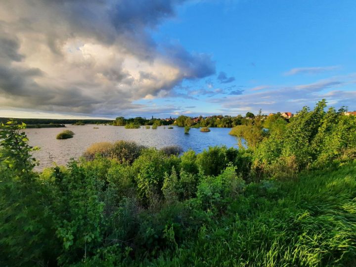 Прогноз погоды в Воронеже на вторник, 10 июня