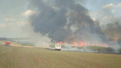 Поле пшеницы уничтожено в Воронежской области