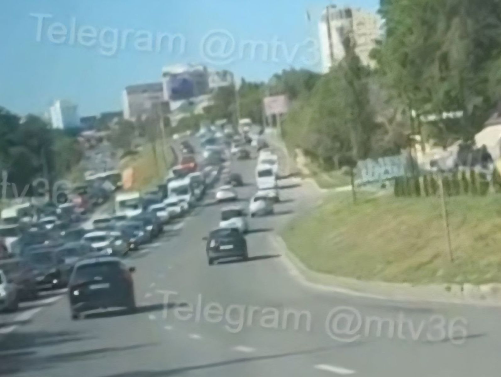 Дорожный коллапс случился в Воронеже из-за рухнувшего дерева