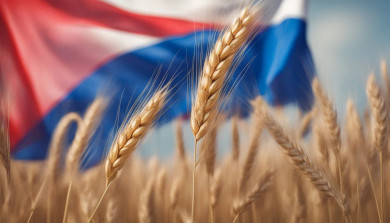 Курян предупредили об «осенней» погоде в праздничные дни