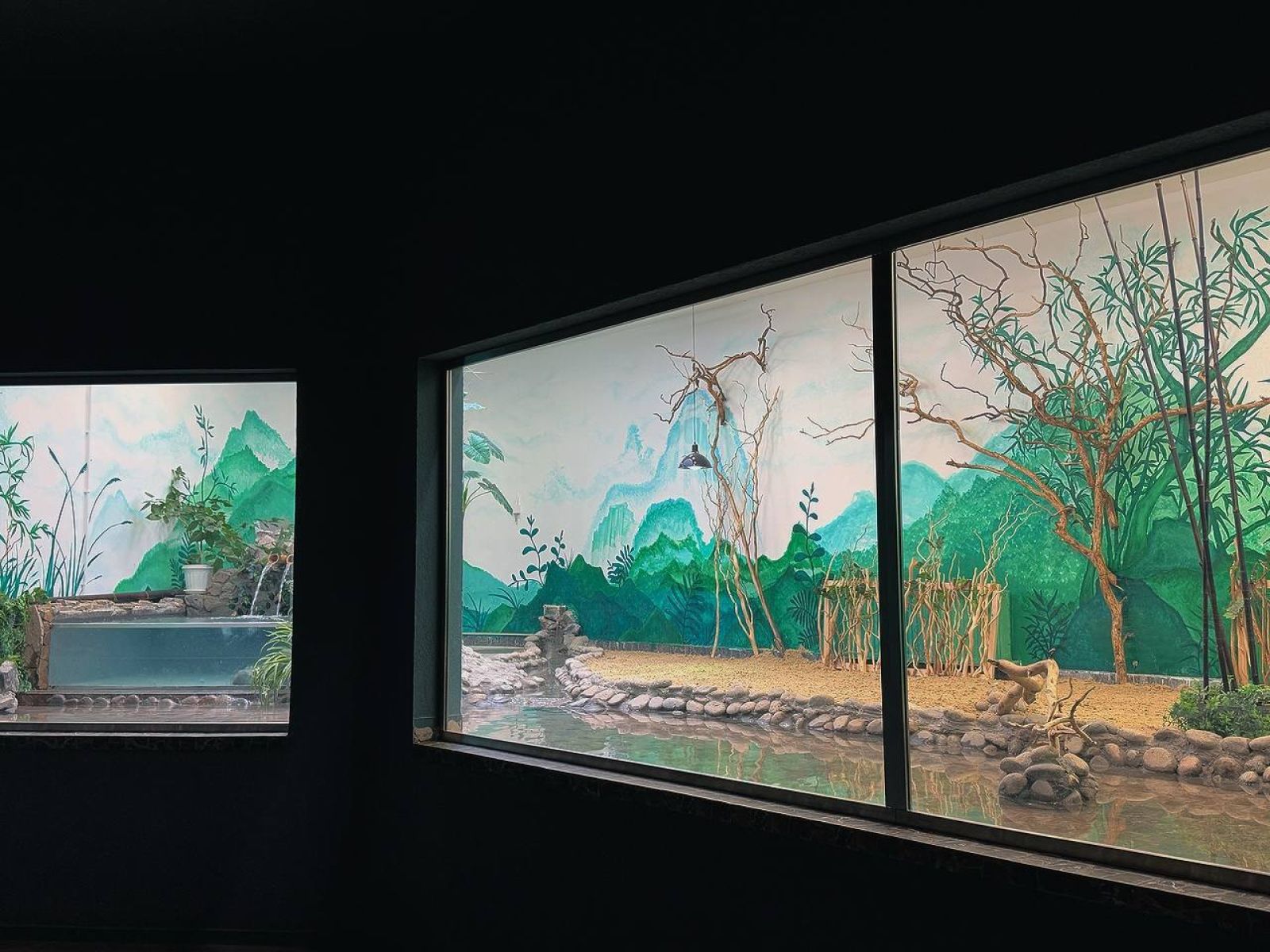 В Белгородском зоопарке поселилась новая капибара