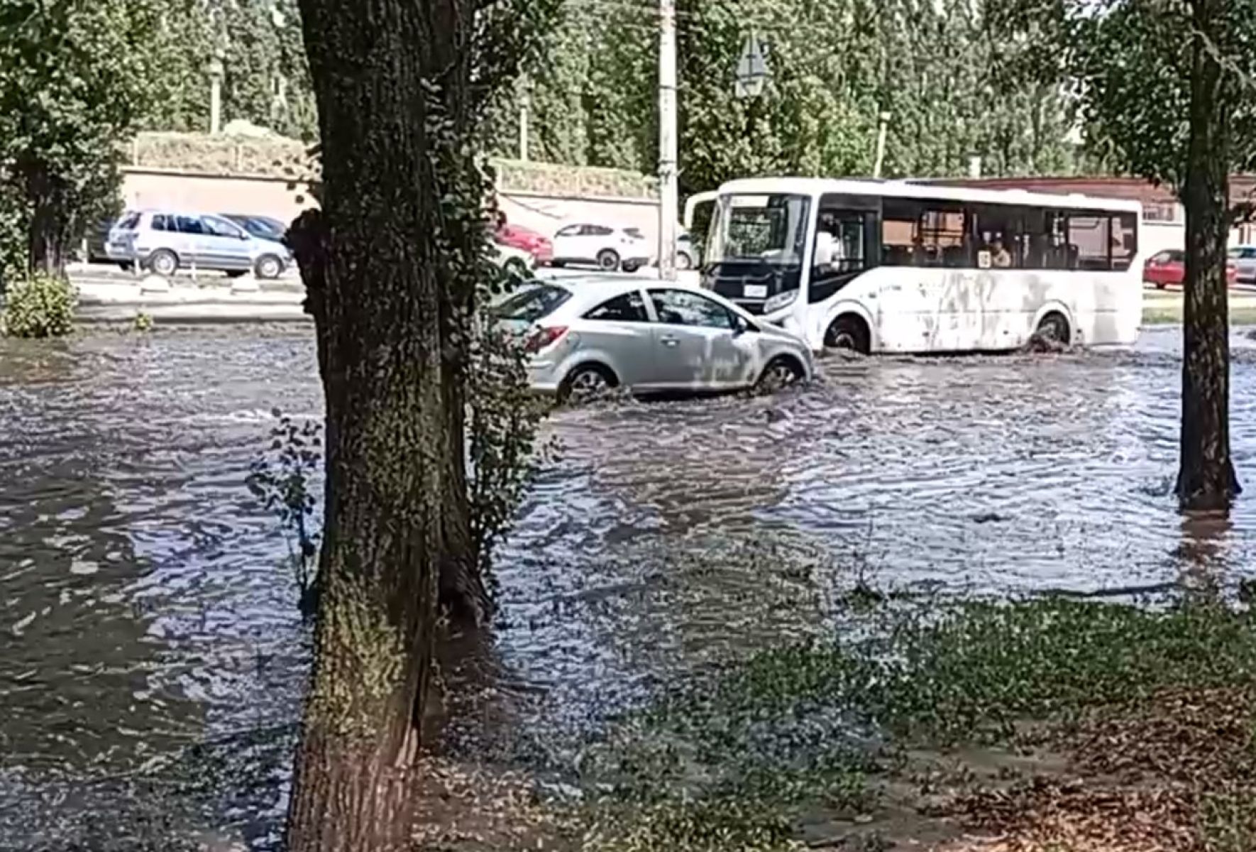 «Филиал водохранилища» появился на&nbsp;воронежской улице