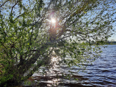Ждать ли жары? Воронежцам рассказали о погоде на рабочей неделе