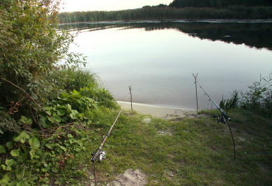 Рыбака убило током в воронежском селе