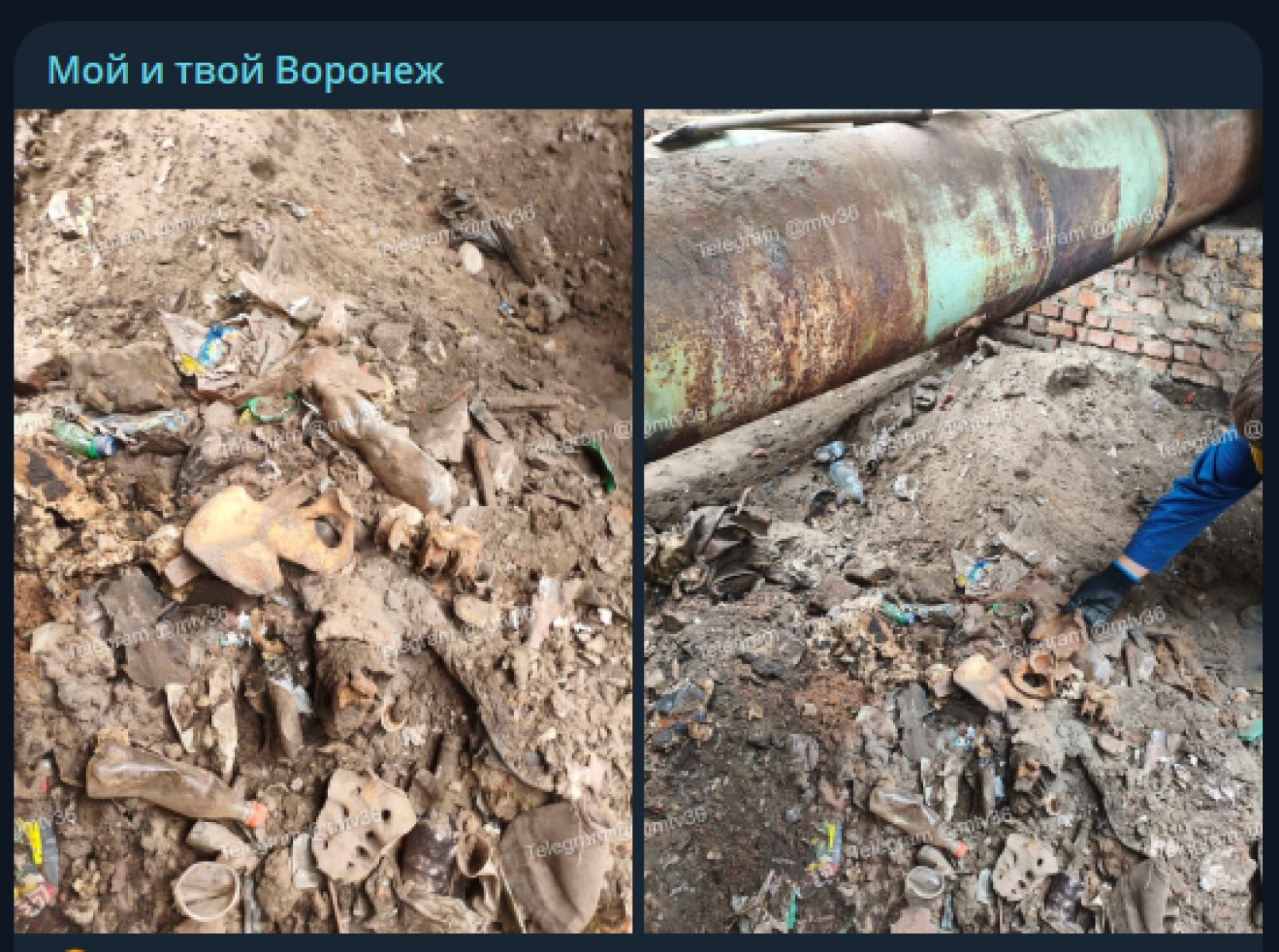 Человеческие останки нашли рядом с рынком в Воронеже&nbsp;