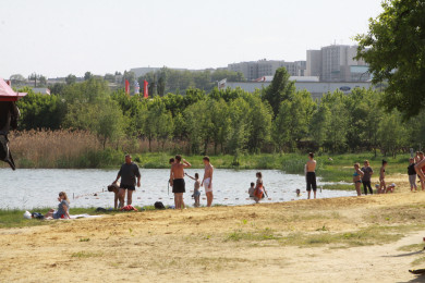 Кишечную палочку нашли в воде на популярных пляжах Воронежа