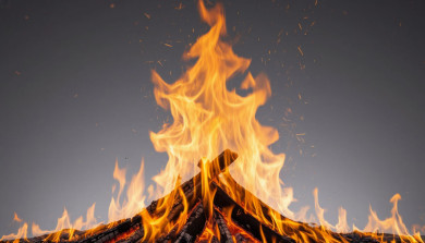 Жилой дом вспыхнул в Воронежской области: есть пострадавший 