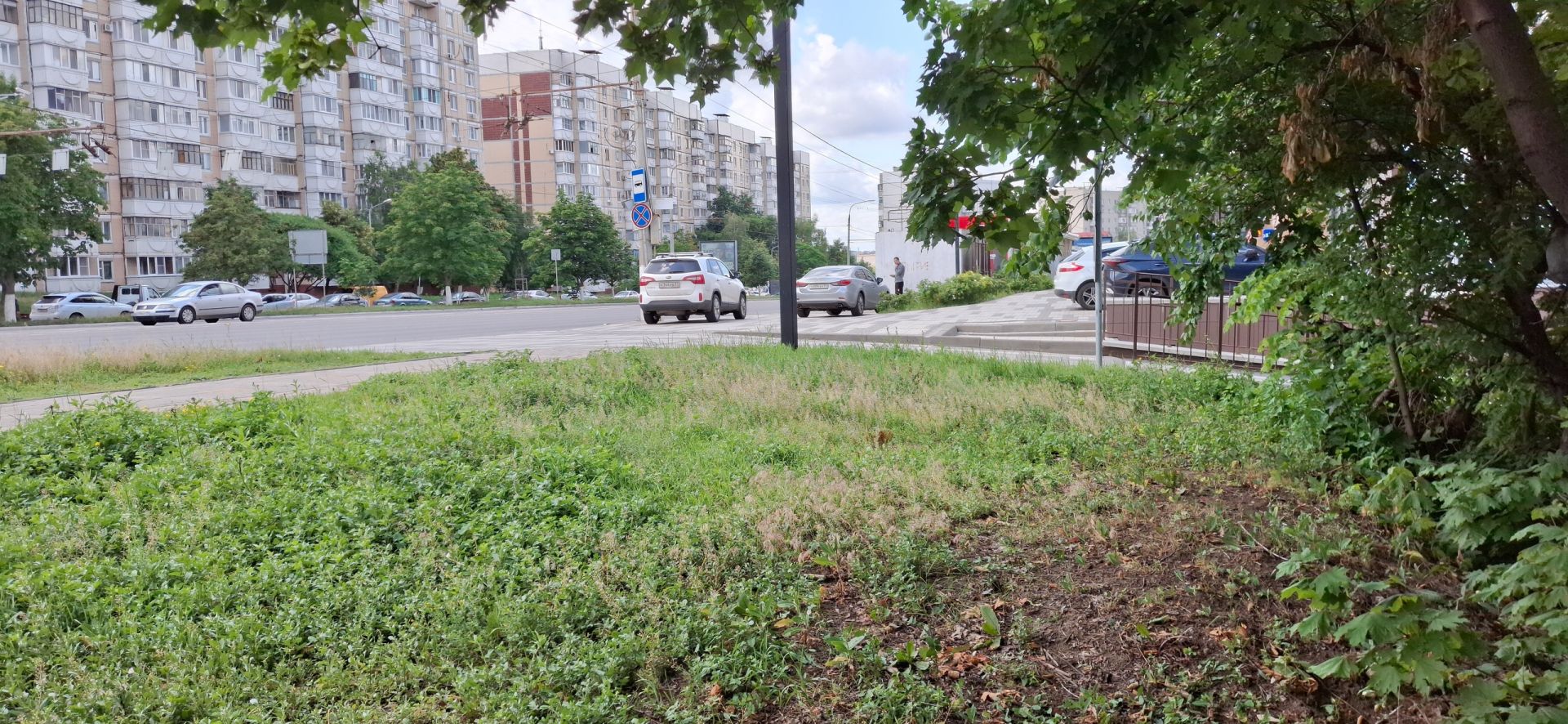 Белгородские власти отказались запрещать парковку на улице Губкина