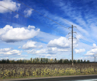 Атака беспилотников ВСУ на Воронежскую область продолжается: сбито семь дронов 