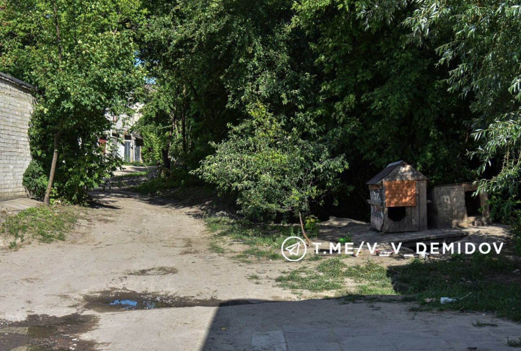 В Белгороде отловили собак на бульваре Юности