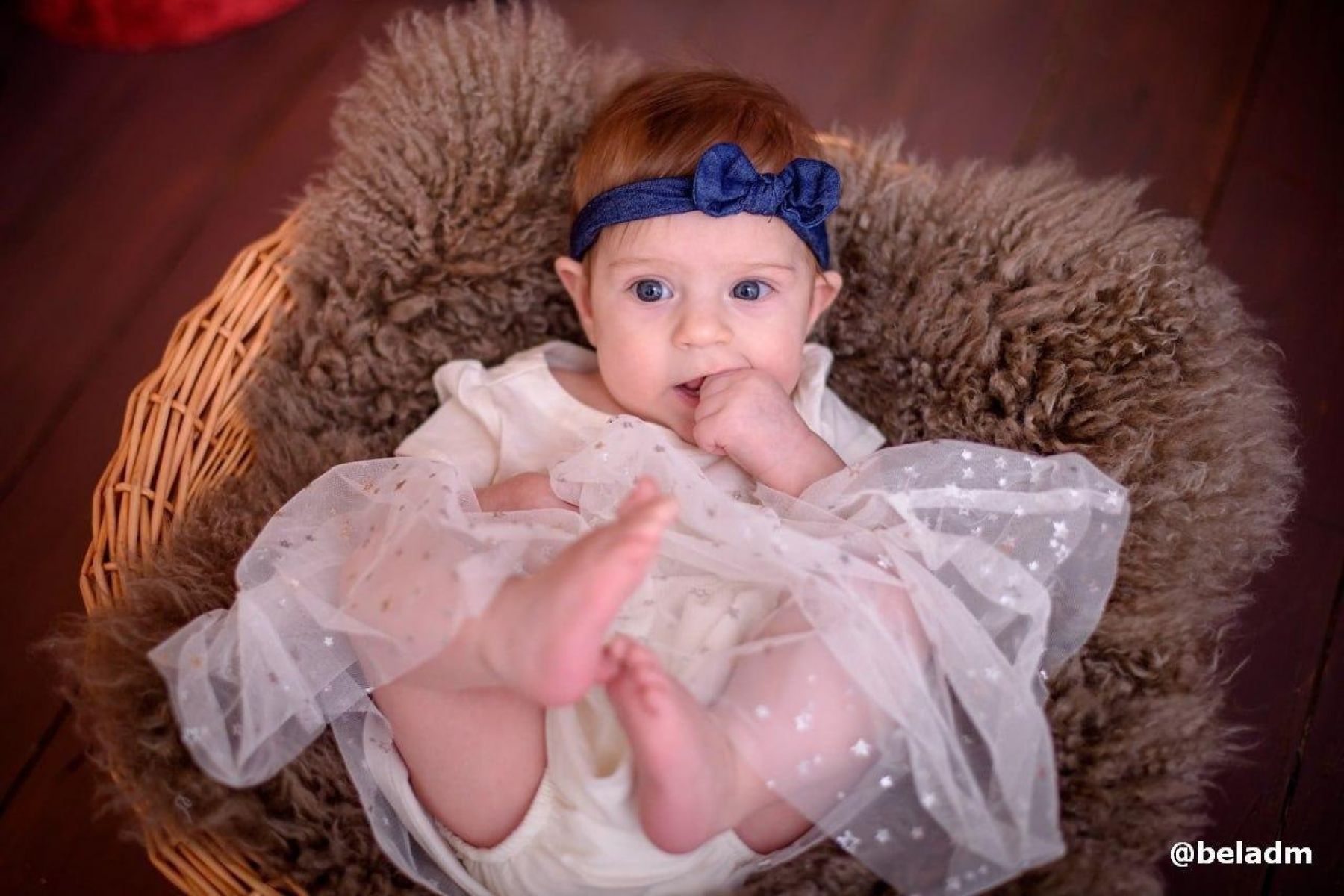 В Белгороде родились Феликс и Моника