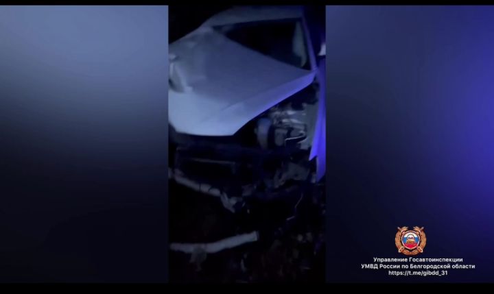 В Белгородской области две девушки пострадали в аварии