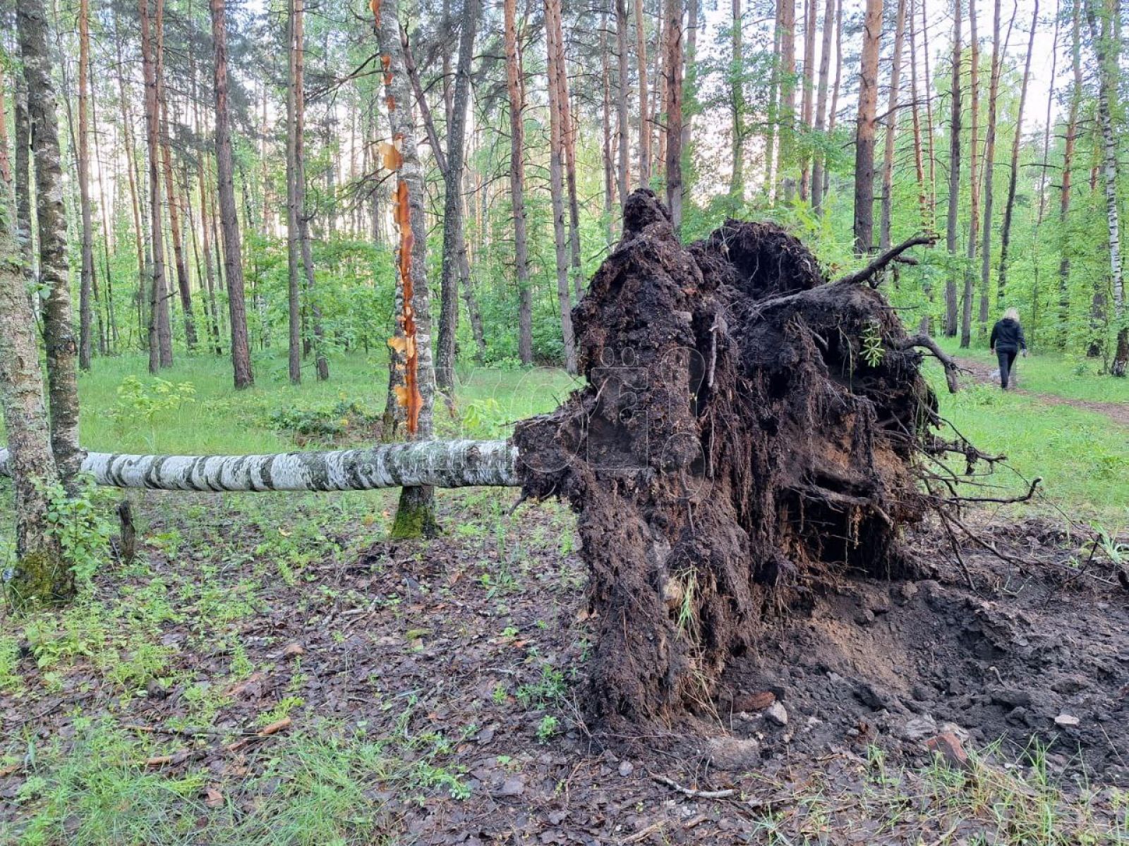 Заставочное фото, последствия предыдущего разгула стихии