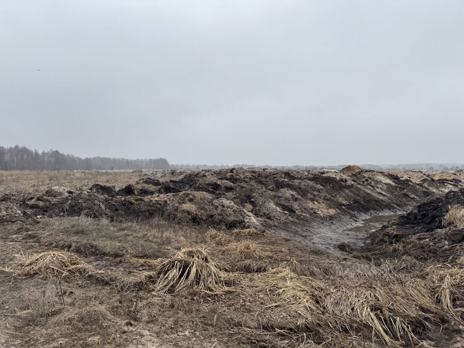 Уголовное дело возбудили после повреждения почв у&nbsp;воронежской реки