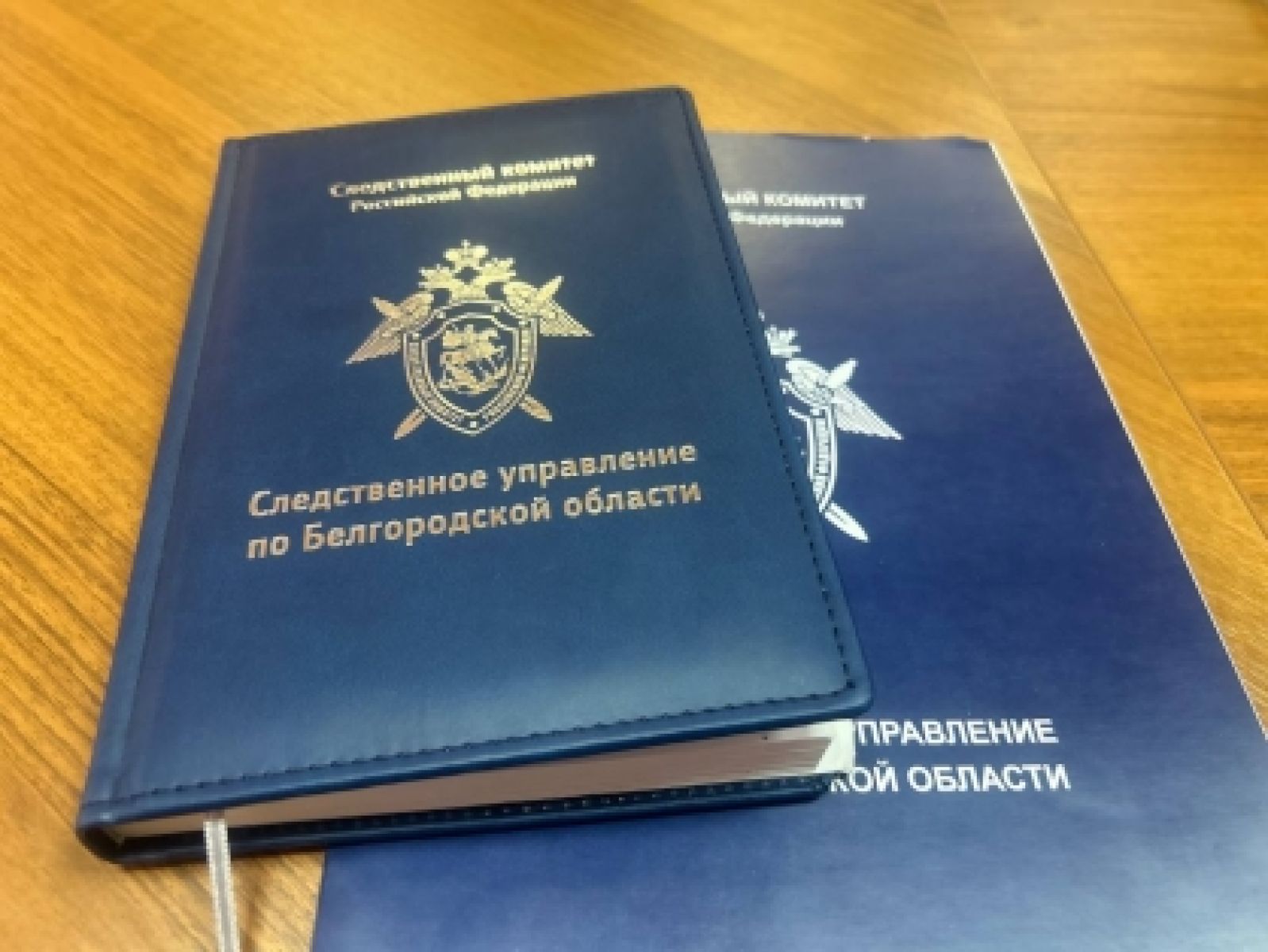 15-летнюю белгородку будут судить за двойную кражу у родственников