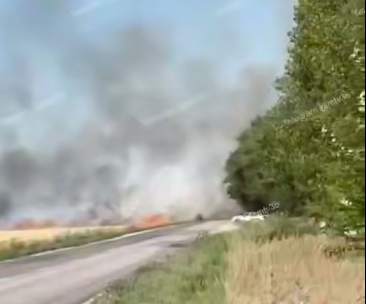 30 гектаров пшеничного поля сгорели под&nbsp;Воронежем