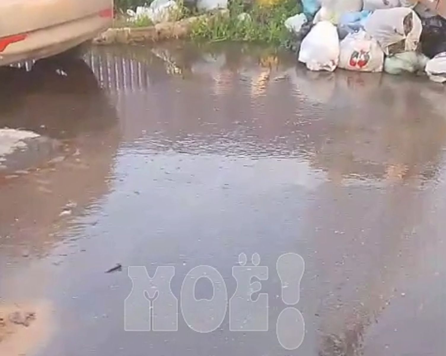 «Льётся уже который день». Воронежанка пожаловалась на ручей на улице