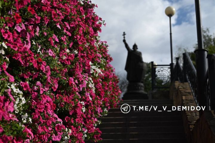 Белгород утонет в цветах