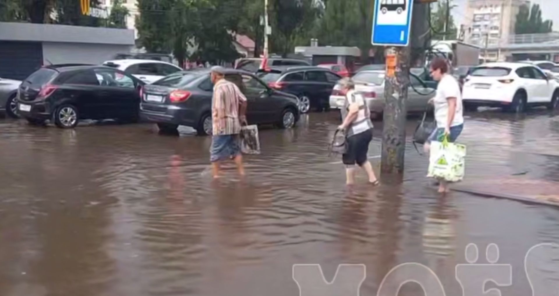Бесплатный «аквапарк» под открытым небо открылся в Воронеже (ВИДЕО)