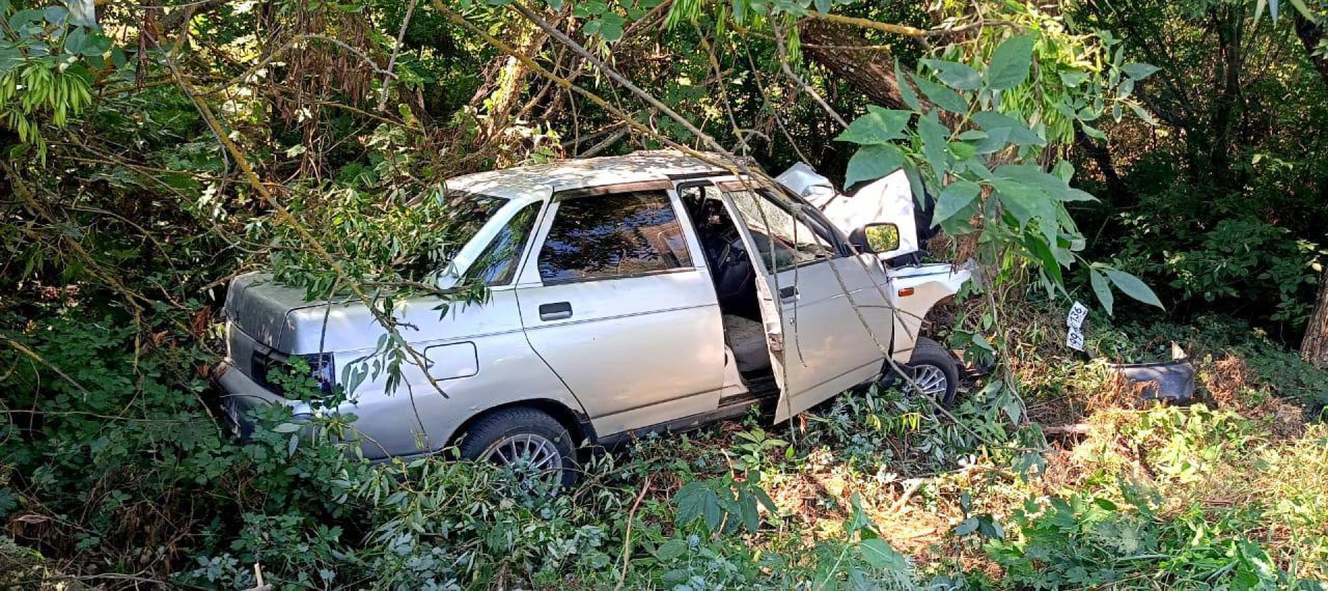 Молодой водитель погиб, врезавшись в&nbsp;дерево в&nbsp;воронежском селе