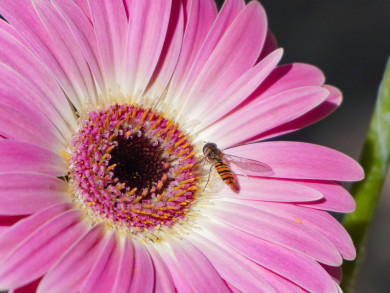 Прогноз погоды в Воронеже на субботу, 19 июля 