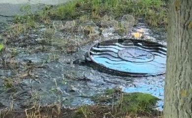 «Ручей» внезапно забил на Московском проспекте (ВИДЕО)