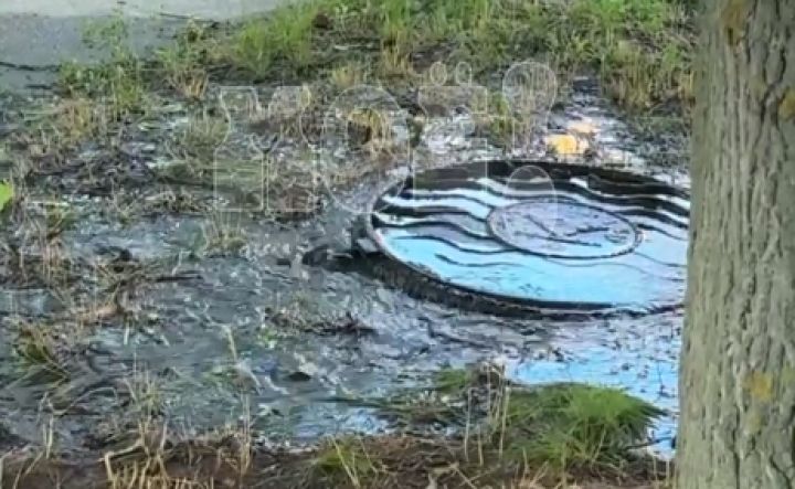«Ручей» внезапно забил на Московском проспекте (ВИДЕО)