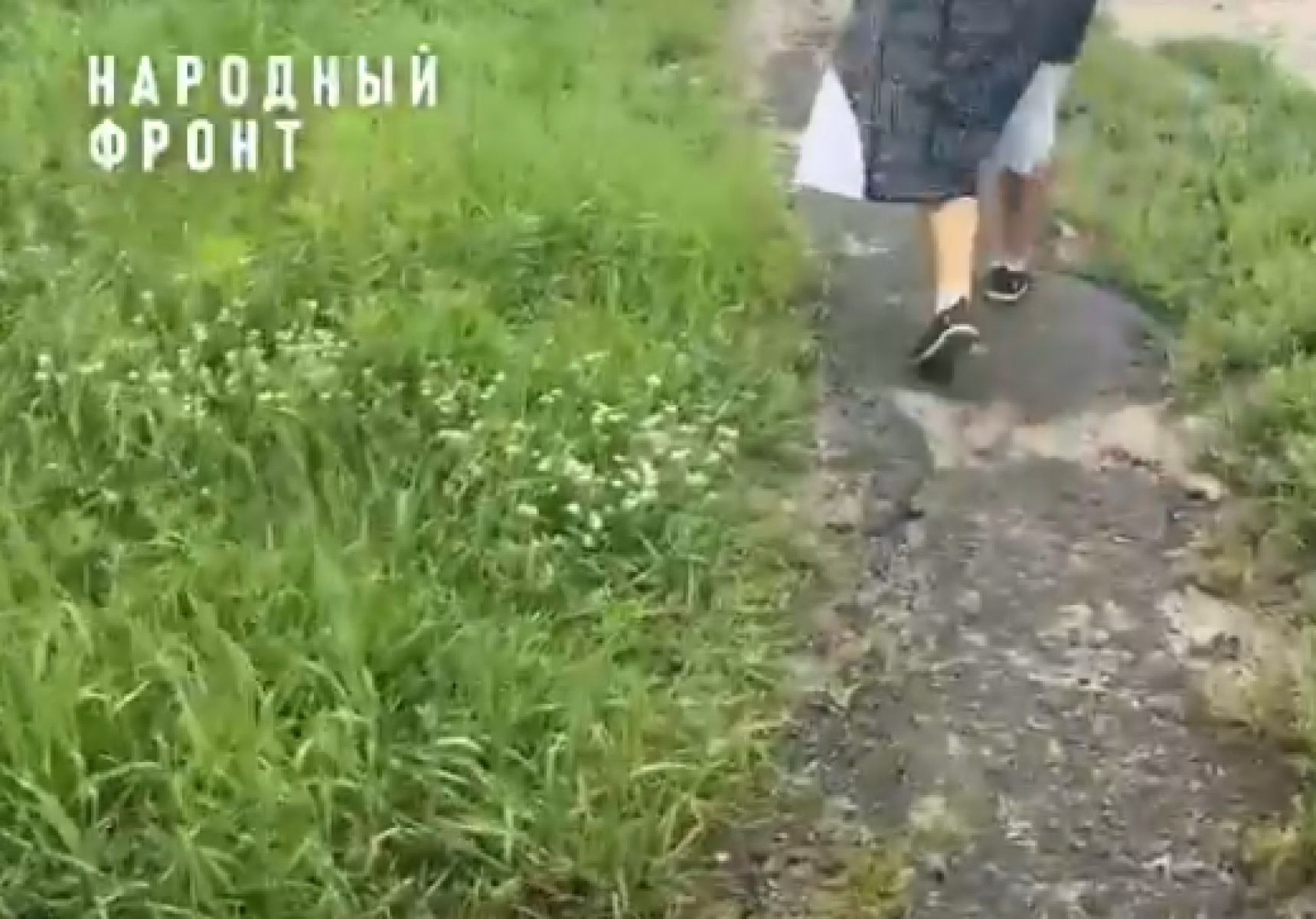 Жители Тамбова жалуются на отсутствие тротуара