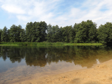 Труп мужчины нашли в Усманке в Воронеже