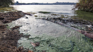 Почему Воронежское водохранилище — самый грязный водоём региона