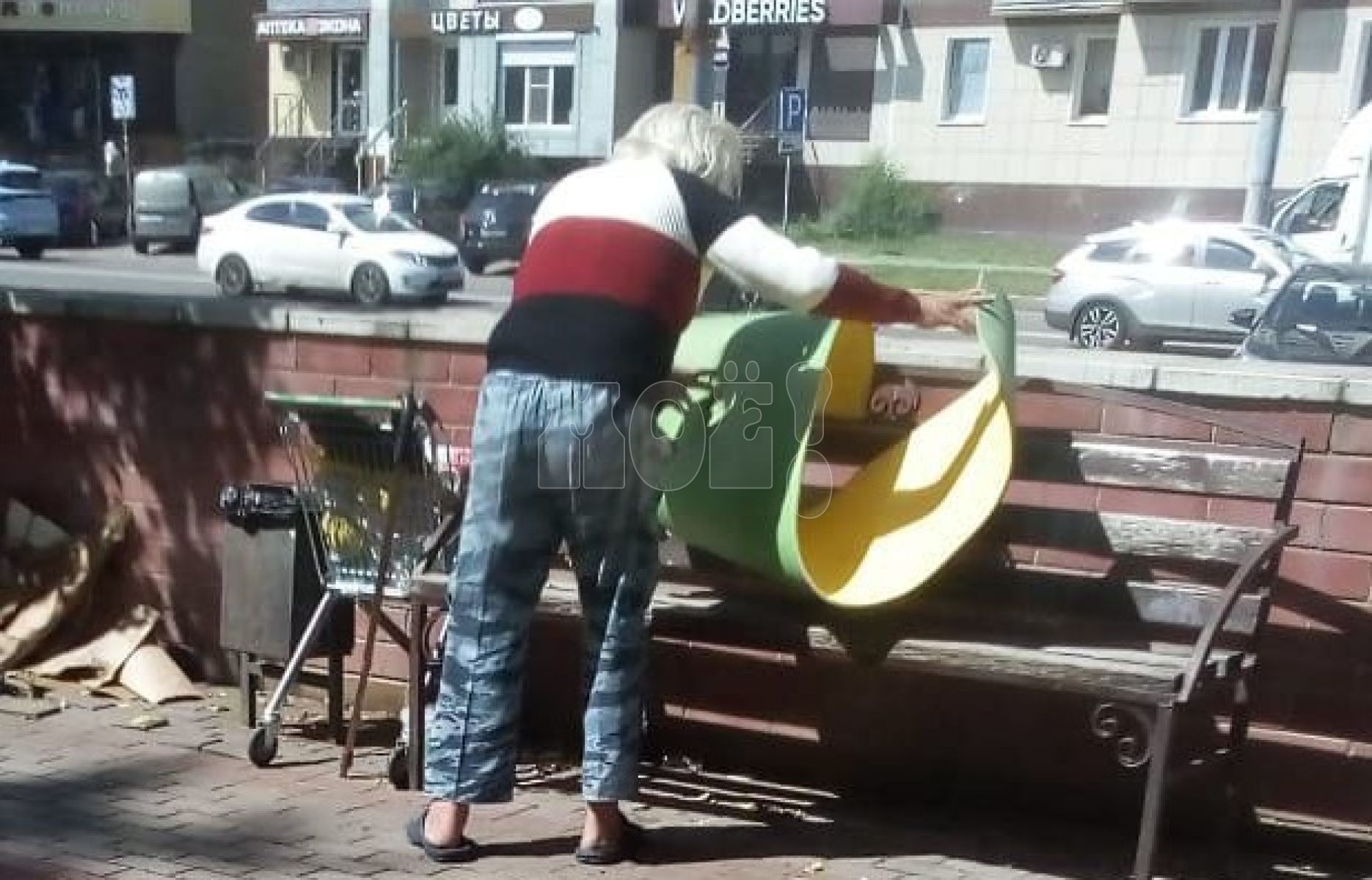 Бездомный оккупировал скамейки у&nbsp;воронежского парка
