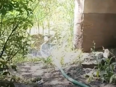 Кто и зачем качает воду из реки Усманки возле воронежского пляжа?