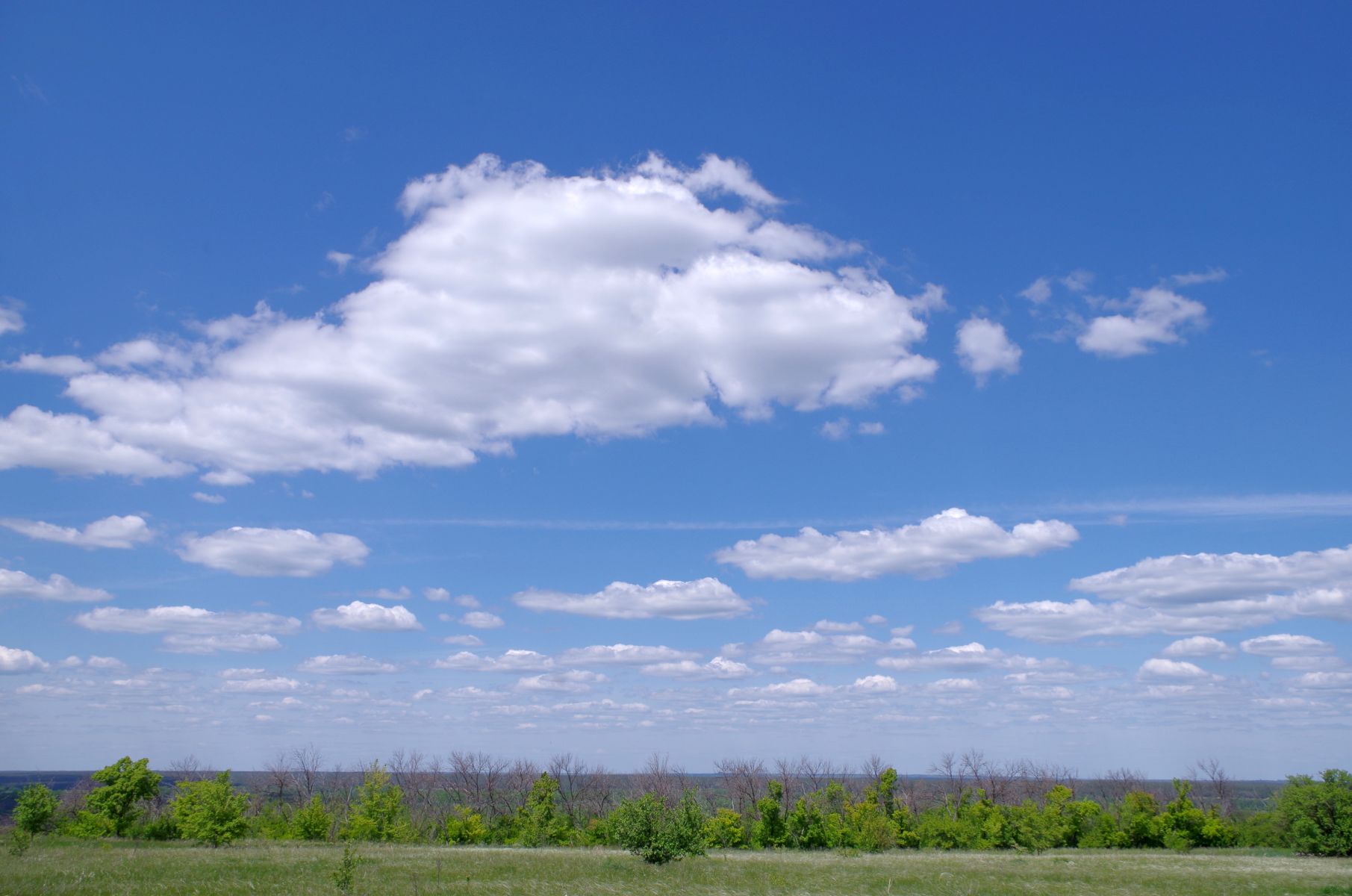 Стало известно, сколько районов подверглись атаке БПЛА в Воронежской области