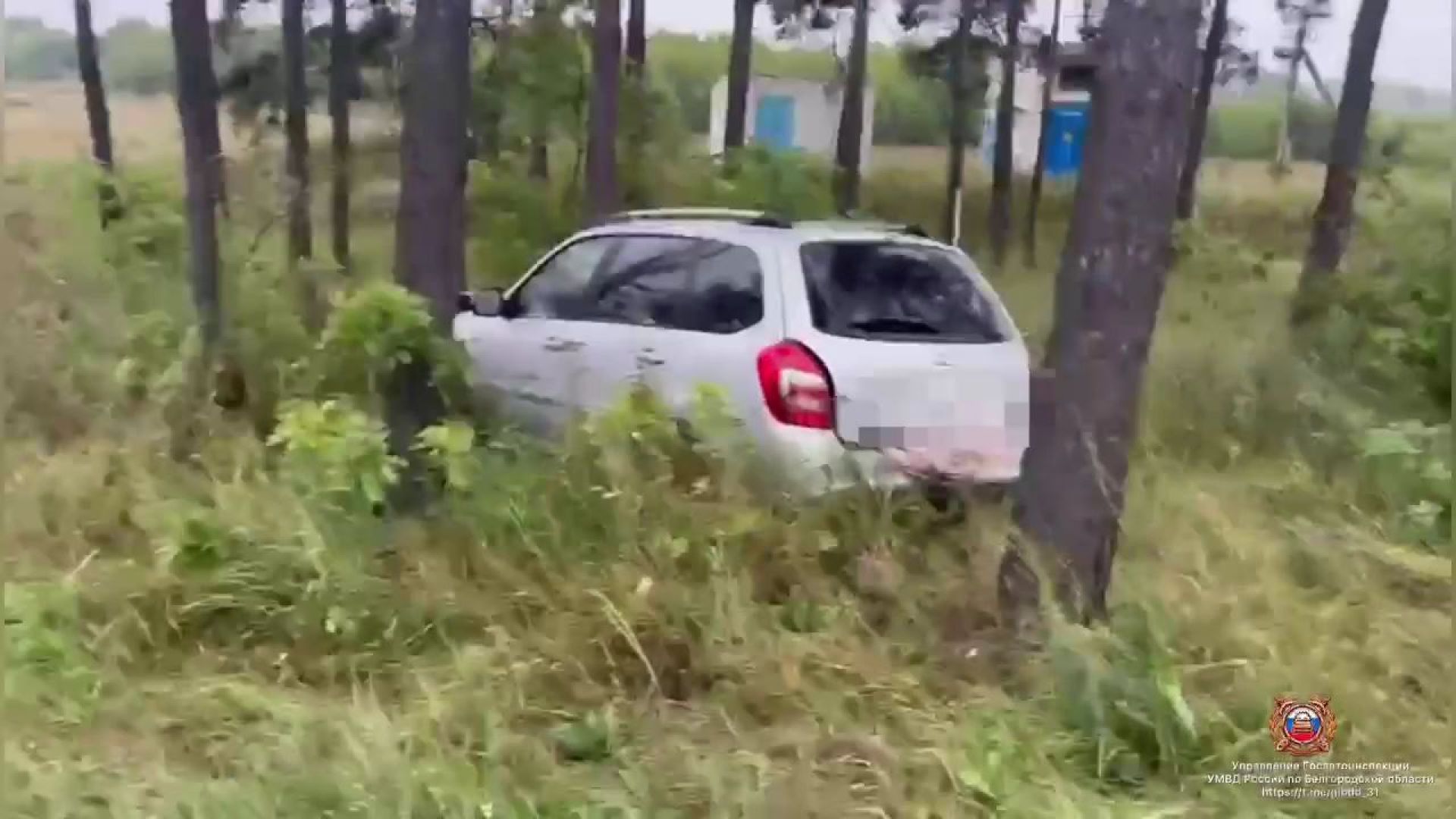 В белгородском лесу гаишники нашли врезавшийся в дерево автомобиль