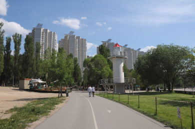 ДТП с автобусом и сход селя. Главные новости Воронежа и области за 4 августа 