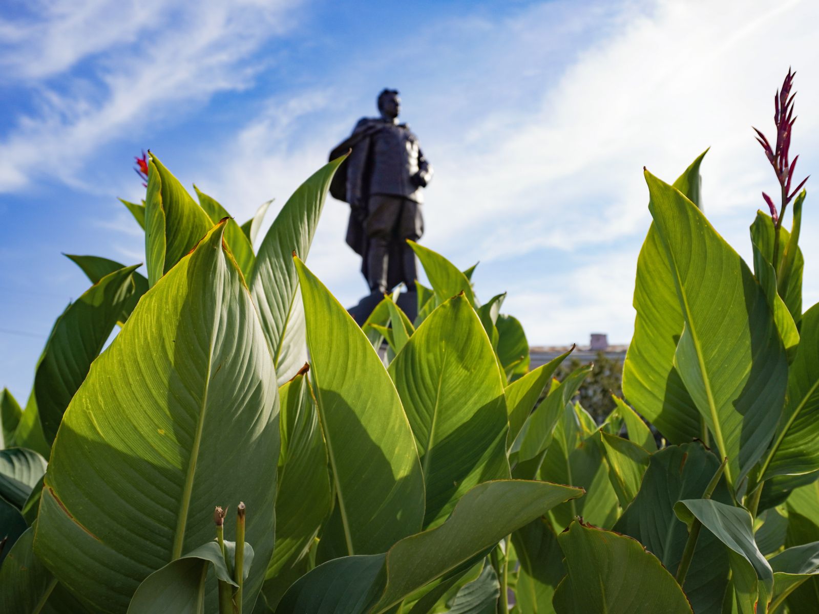 Прогноз погоды в&nbsp;Воронеже на&nbsp;среду, 6 августа