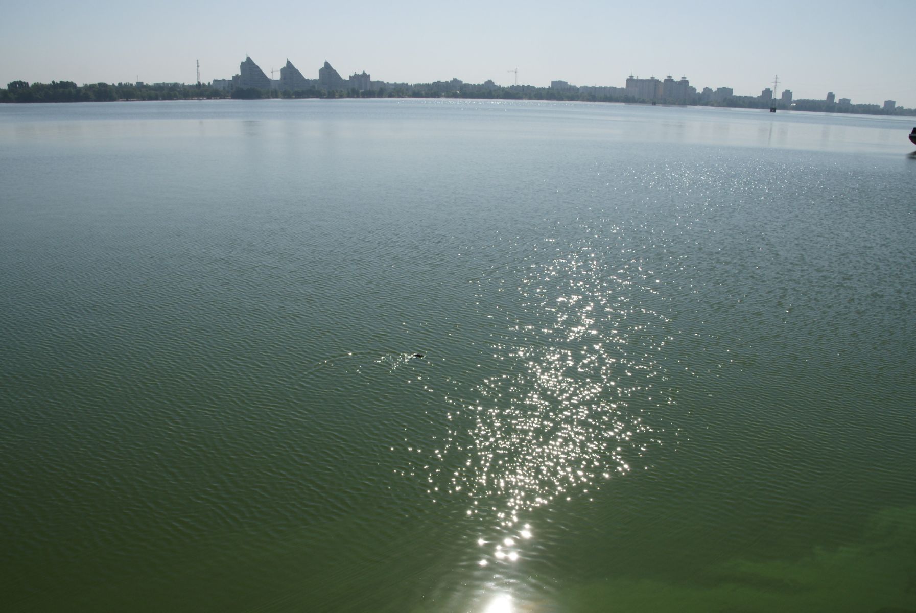 Труп мужчины достали из&nbsp;Воронежского водохранилища