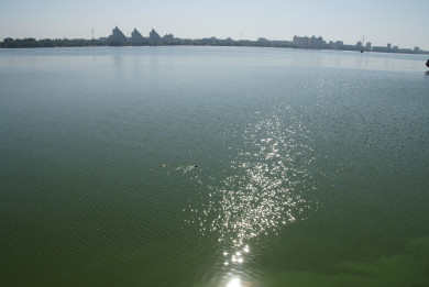 Труп мужчины достали из Воронежского водохранилища