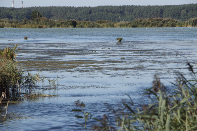 Труп 20-летнего парня достали со дна воронежской реки 