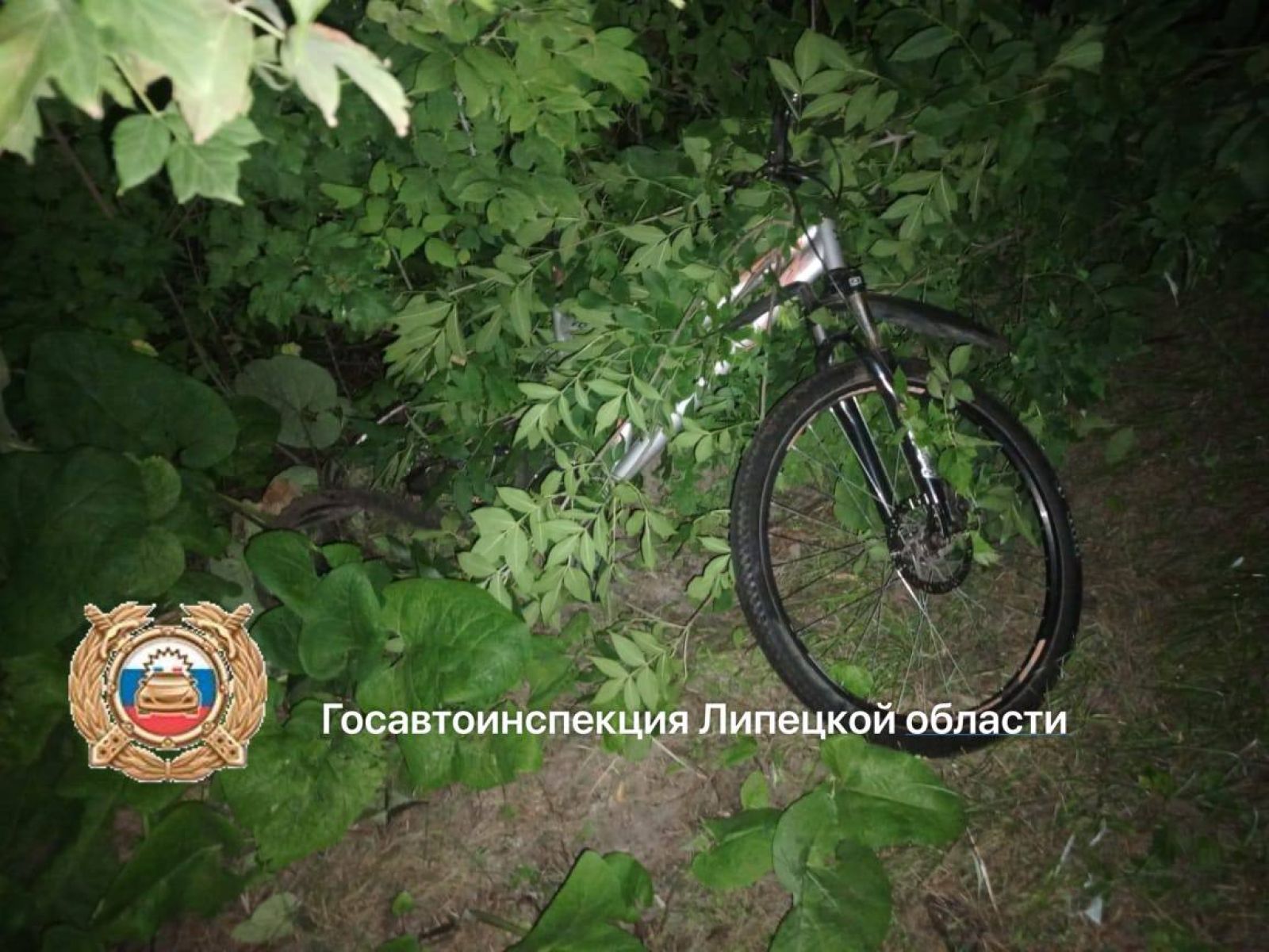 Подросток на велосипеде погиб на трассе под Липецком от удара легковушки