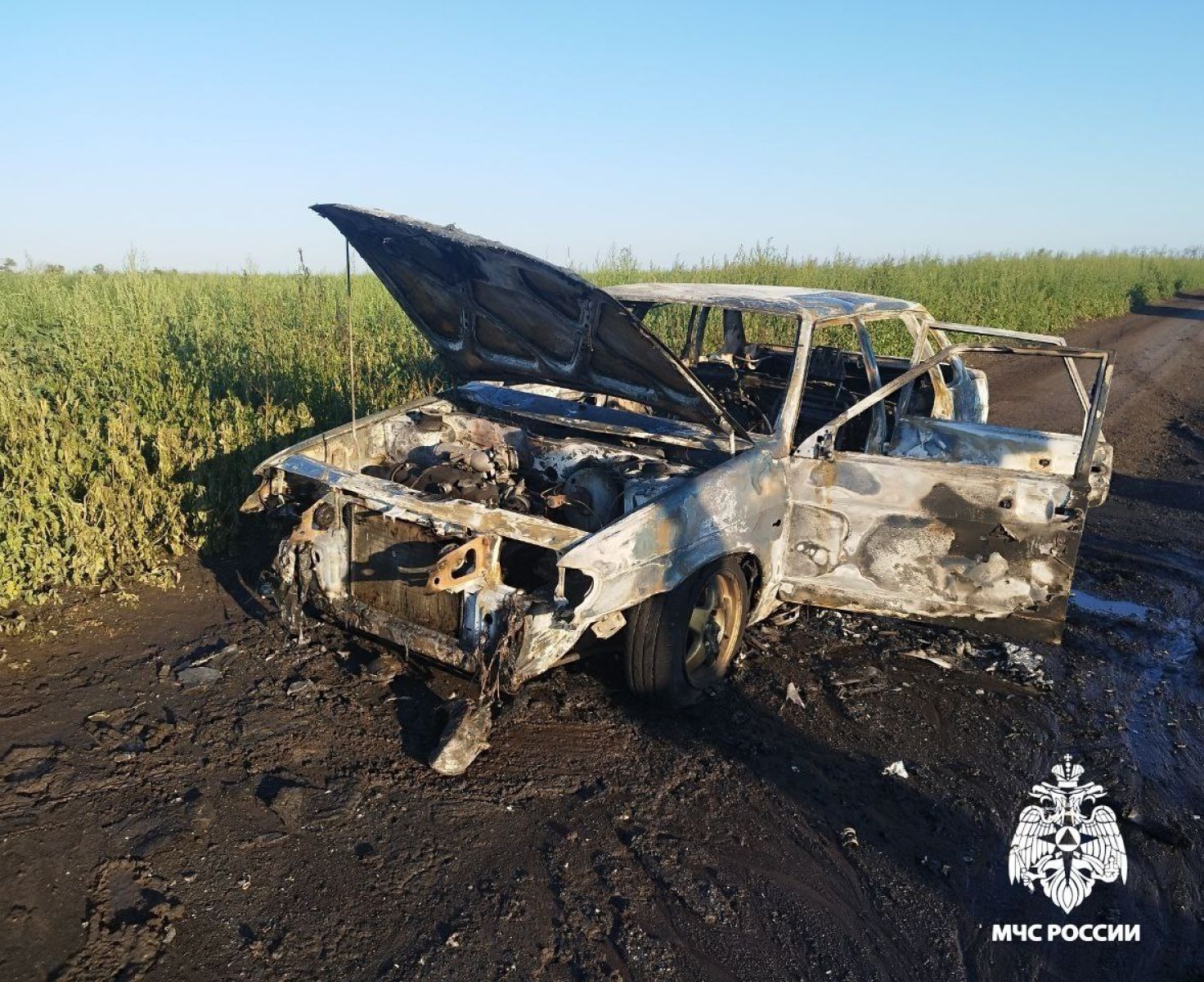 Под Белгородом полыхали автомобили