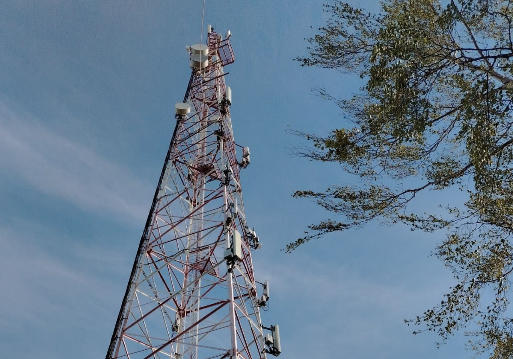 МегаФон импортозаместил маршрутизаторы на&nbsp;магистральной сети &nbsp;