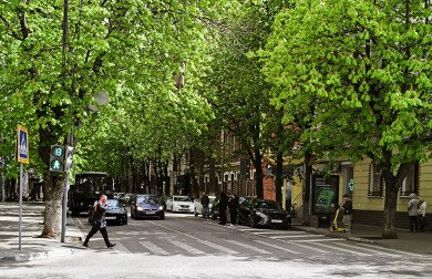 Прогноз погоды в Воронеже на пятницу, 8 августа