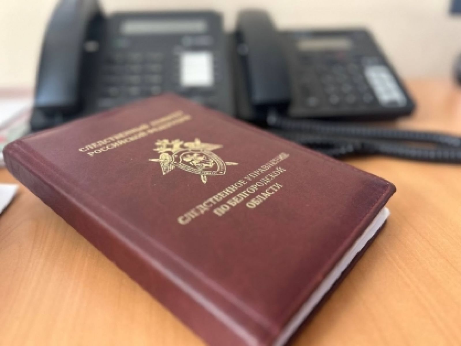 Белгородскому подростку грозит 6 лет колонии за кражу денег с банковской карты