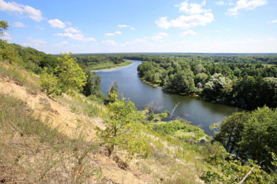 Возможное прекращение атак БПЛА и доцент, лишённый гражданства. Главные новости Воронежа и области за 13 августа 